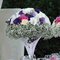 center8